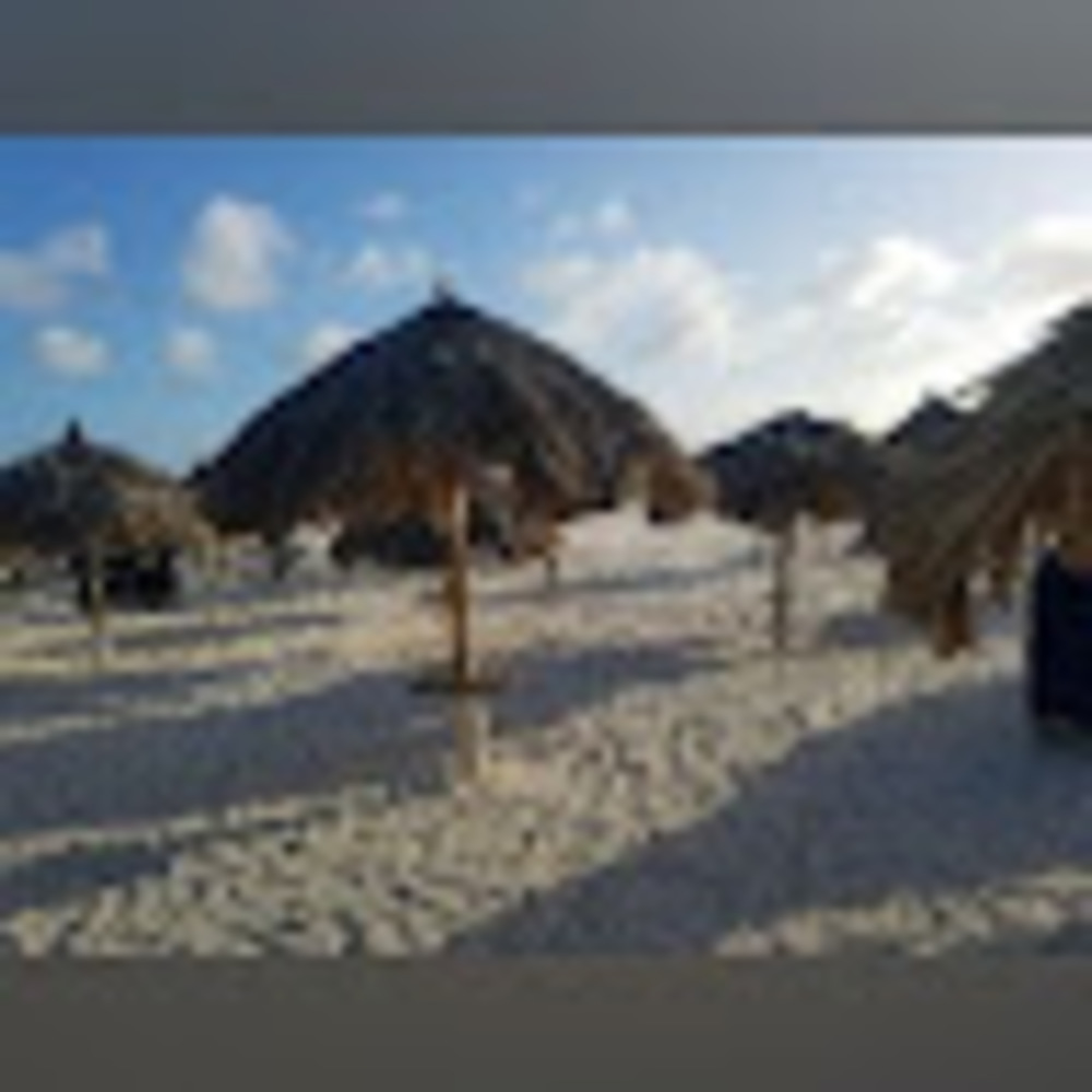 Meet your Posher, Lovance